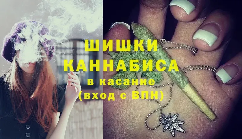 Конопля OG Kush  Мураши 